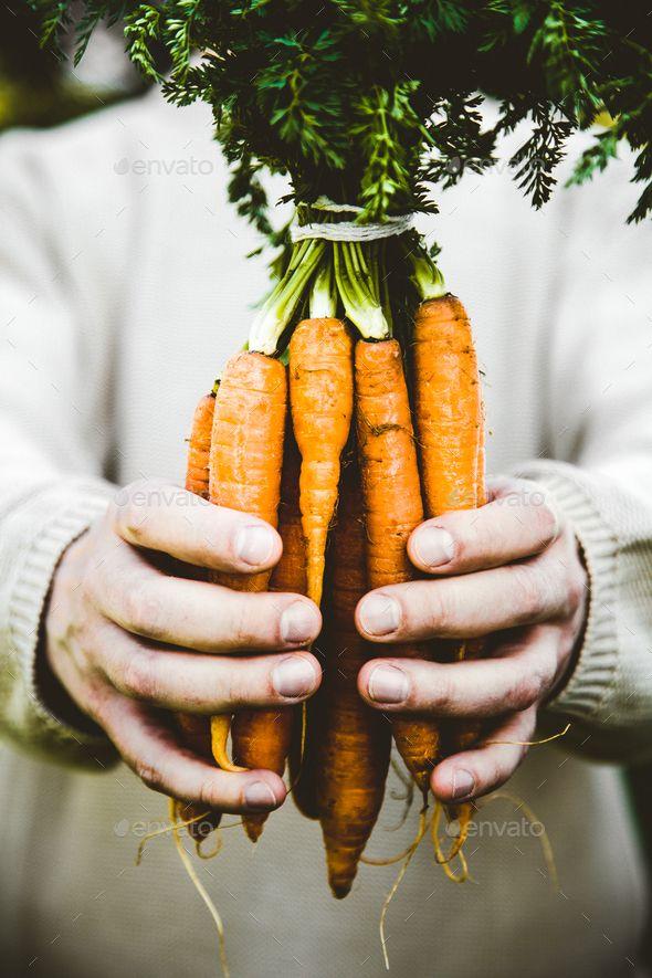 Cultivated Greens: Earth's Choice Veggie Assortment